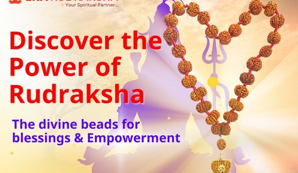 The Ultimate Source for Authentic Rudraksha is now Online | Discover www.ekarudraksha.com with 25 years of Expertise