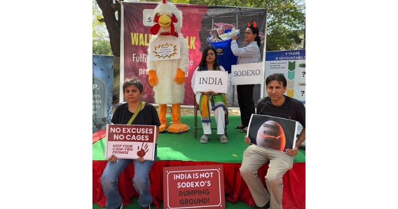 Animal Rights Groups Slam Sodexo for Neglecting Cage-Free Egg Promise in India